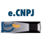 e-CNPJ A3 (token)