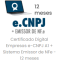 e-CNPJ A1 com Emissor de NFe